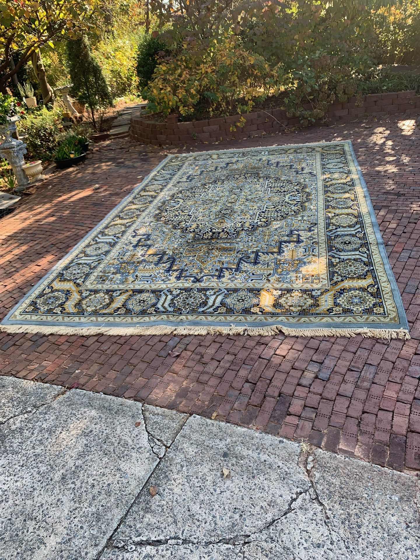 Gorgeous Area Rug