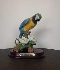 Blue and yellow parrot