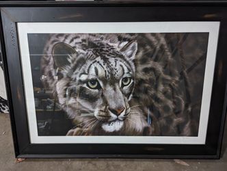 Snow Leopard - Limited Edition
