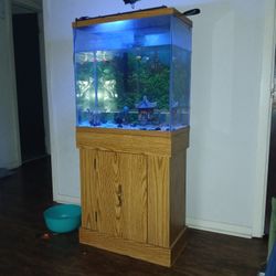 Fish Tank..fish Included