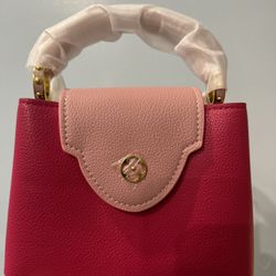 Louis Vuitton Mini Bag