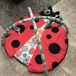 Ladybug Play Mat