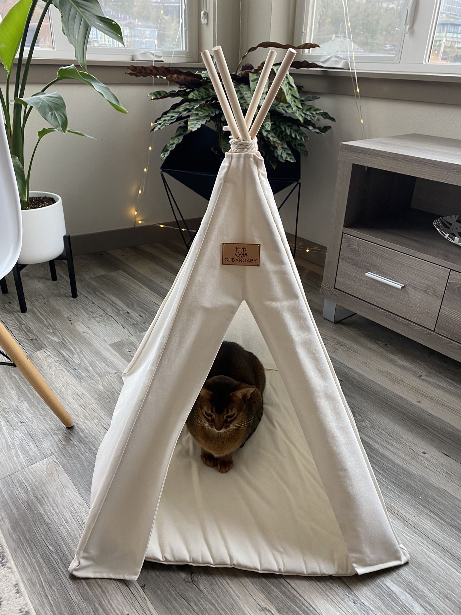 Pet Tepee