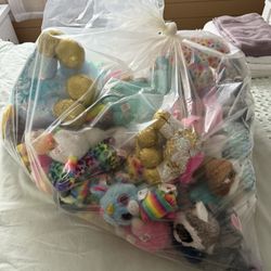 Beanie Boos