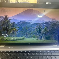 HP Pavilion 15.6” Notebook PC- Windows 10 Pro-Silver