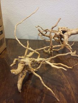 New Aquatics shop open in Orlando Florida Driftwood for sale