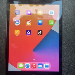 iPad mini (5generation)