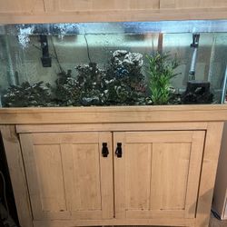 Aquariums/Tanks! All Must Go!