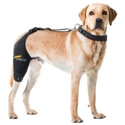 Dollephi Dog Knee Brace For Torn ACL Hind Leg, Hot/Cold Compress For Patella Dislocation Or Osteoarthritis, Cruciate Ligament Injuries,Patent Pending(