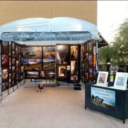 NEW! Black Mesh French Wall Set Up For Art Shows Tent! Cave Creek