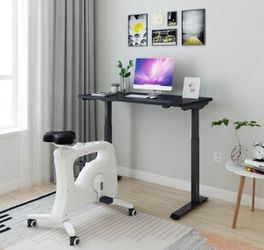 FlexiSpot Electric Standing Desk - 48" Height Adjustable Sit/Stand Desk