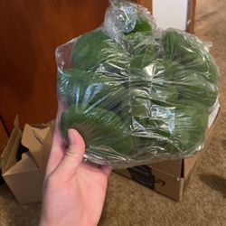 decoration moss balls
