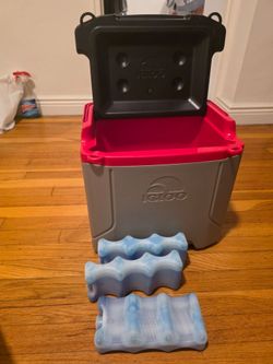 Igloo Profile 16 Cooler with 3 Blue Ice Packs