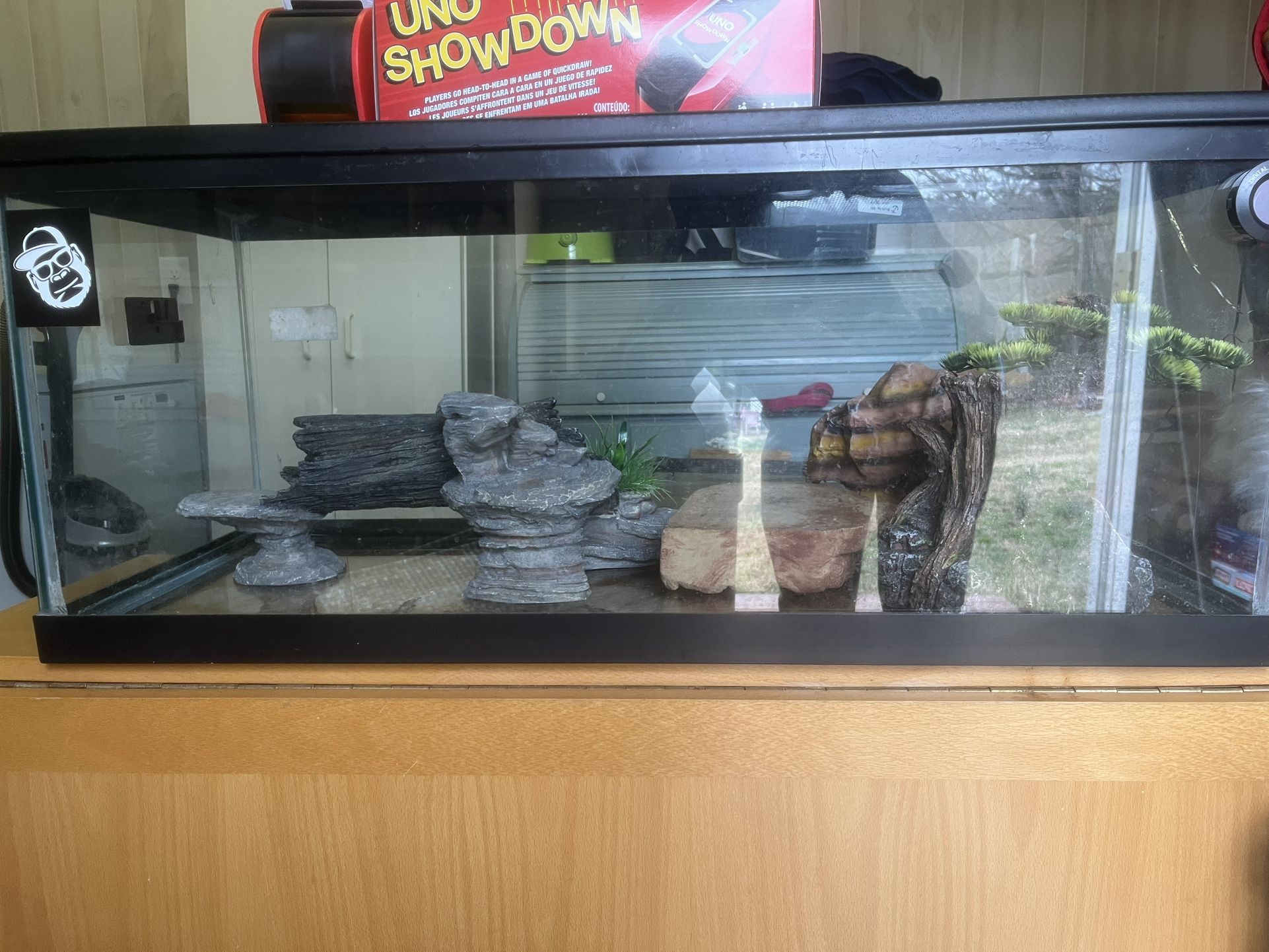 Lizard Cage
