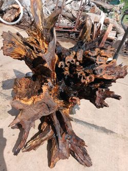 Roots Stump tables