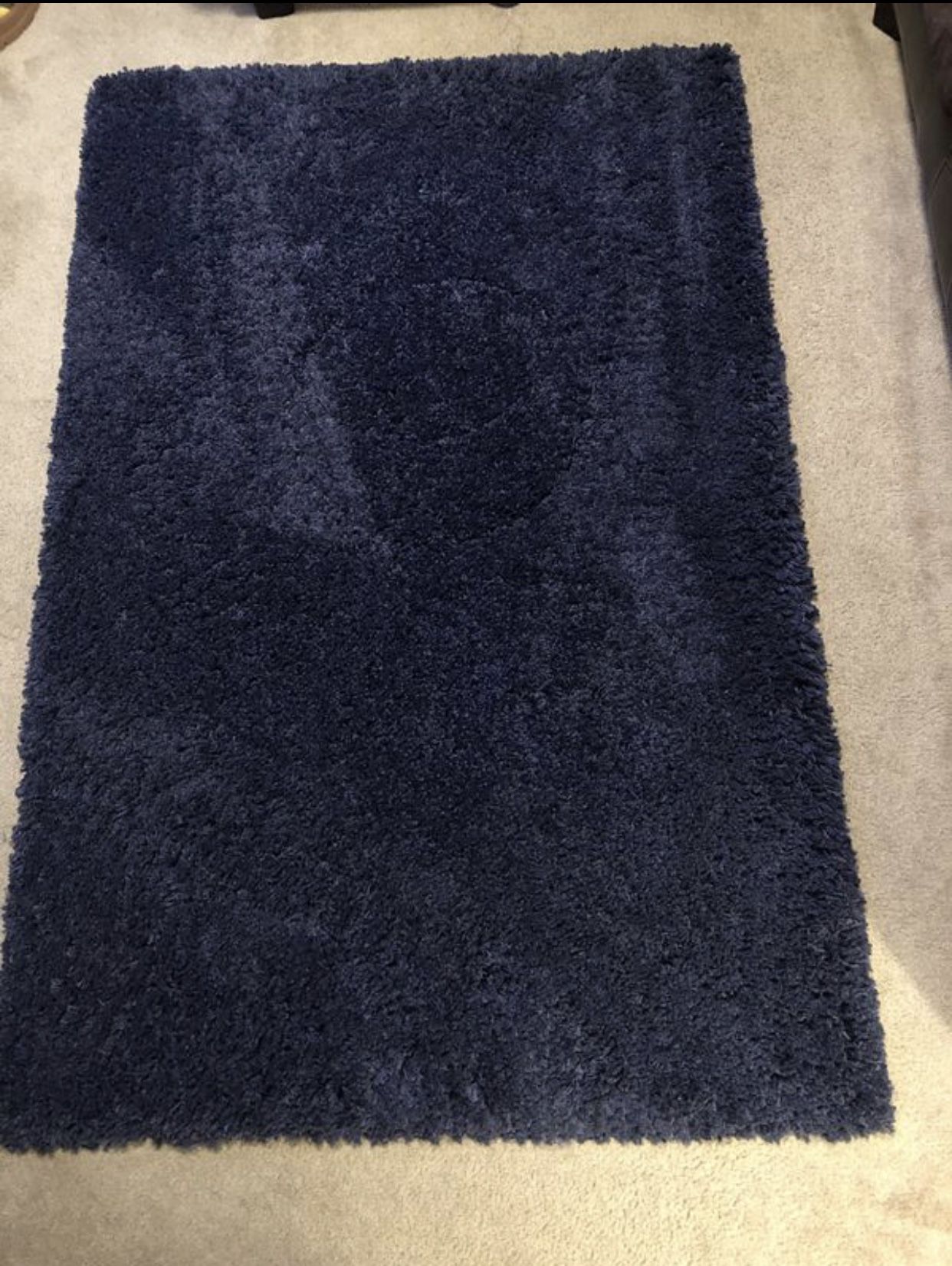 Shag area rug (blue)