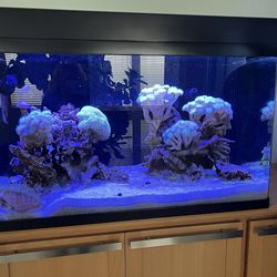 Fish Tank With Hood Full Set-up,