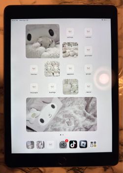 Apple iPad