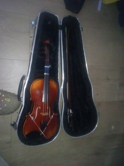 Violin