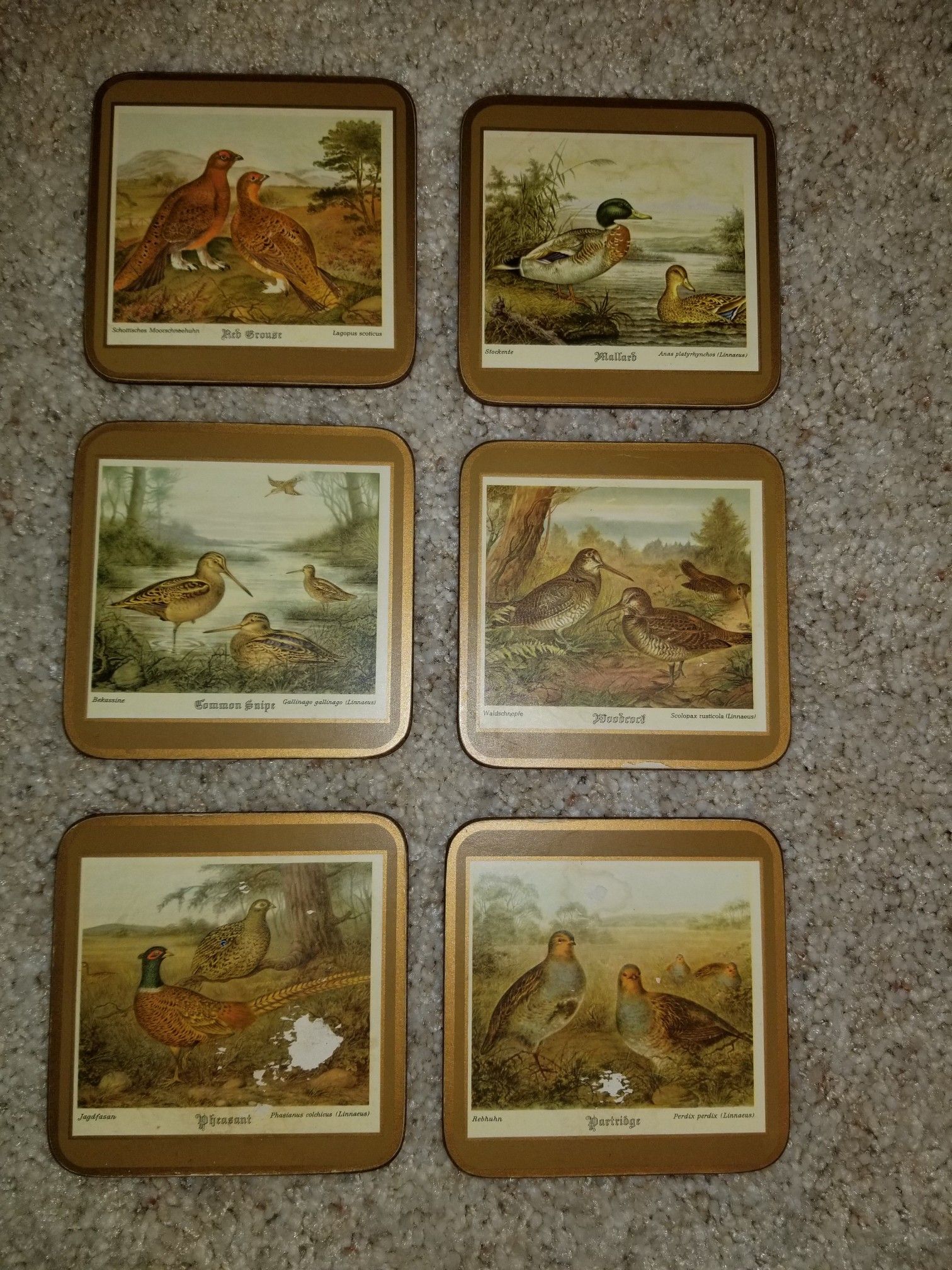 Vintage Pimpernel Lacquer "Game Birds" Coasters x 6