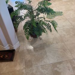 Artificial Plant