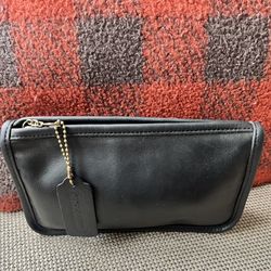 Coach Multipurpose/Cosmetic ChunkyZip Cash
