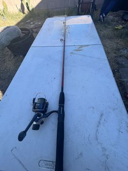 Shakespeare Durango combo 