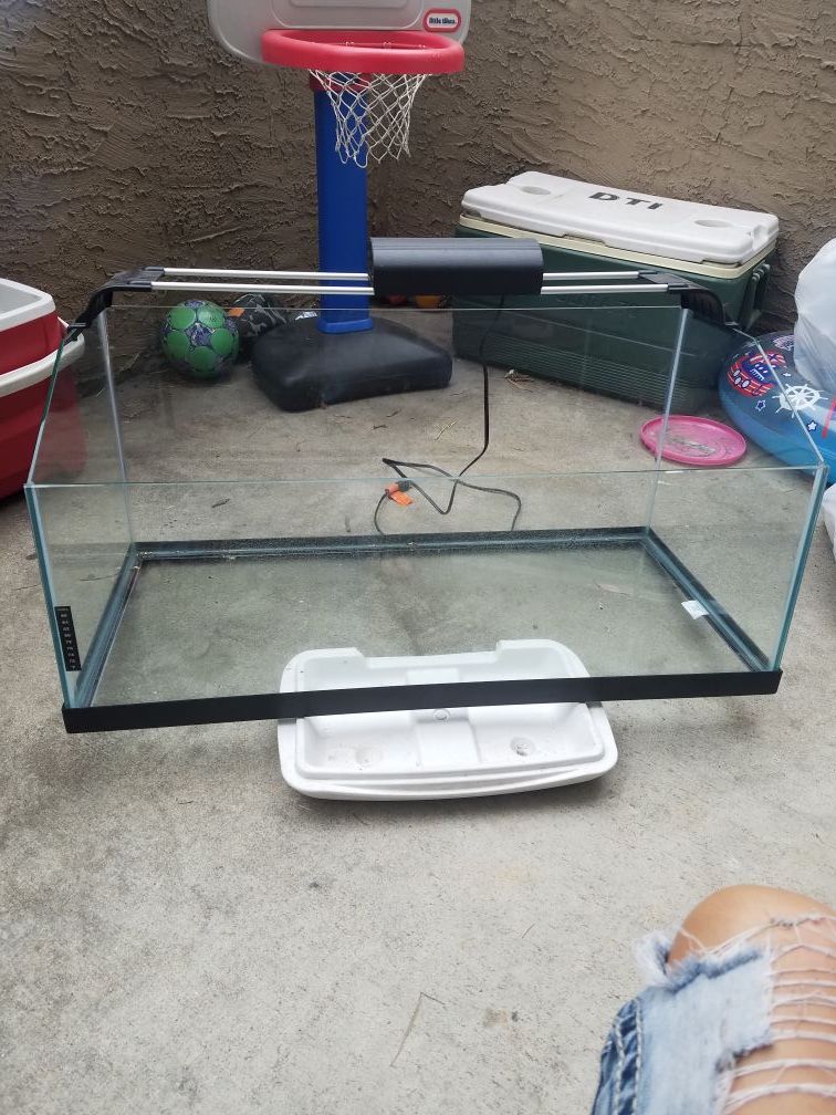 Zilla 40 gallon rimless turtle tank