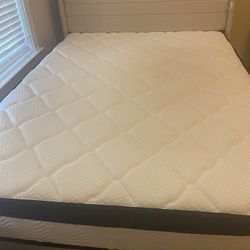 Free 12 Inch Queen Mattress