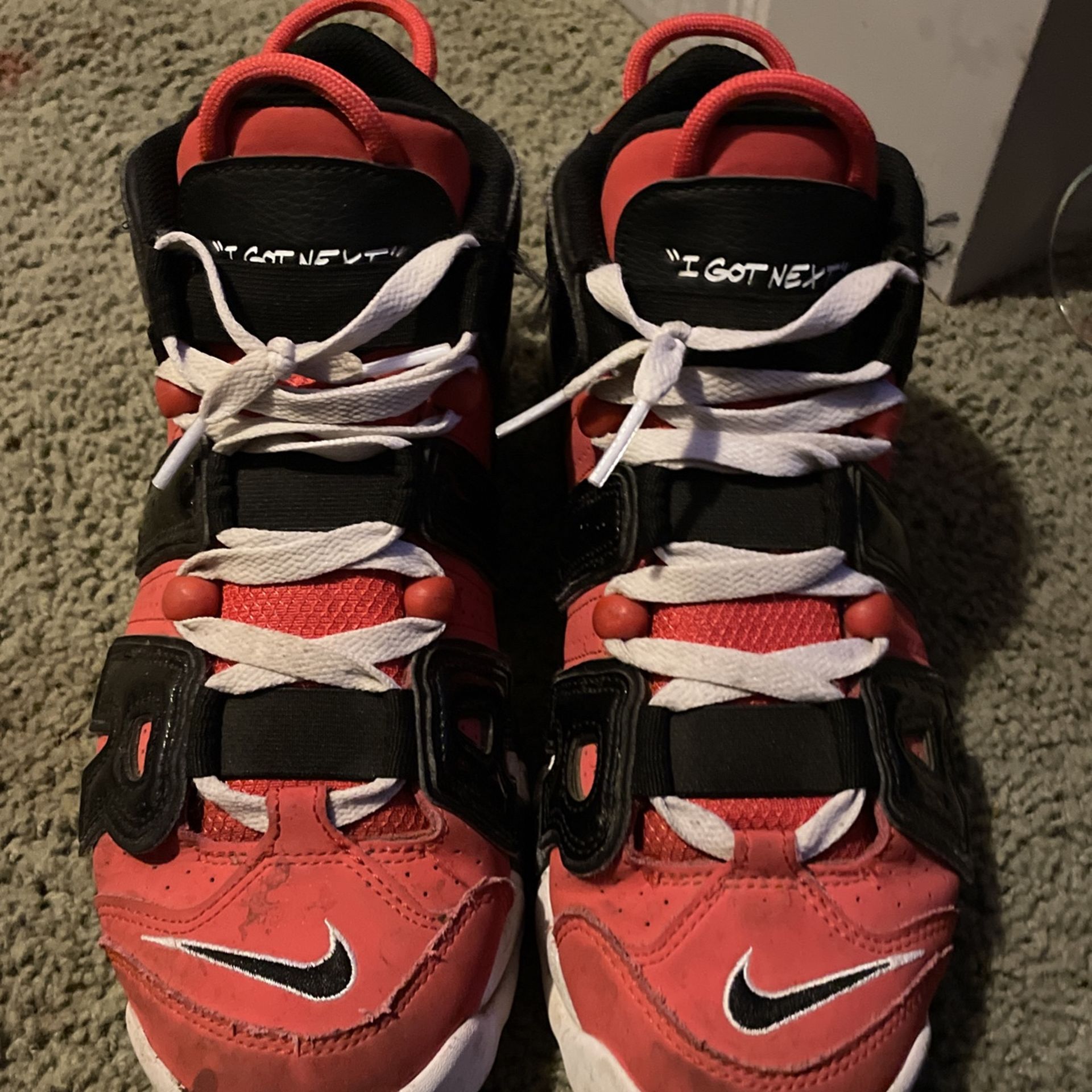Jordan