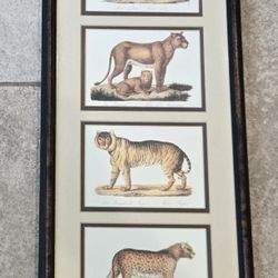 Karl Joseph Brodtmann Set of Four Big Cat Mini Prints Framed 23x10"