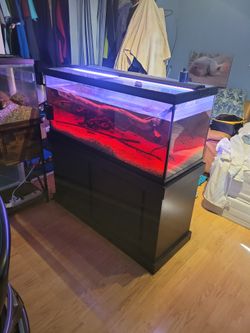 75 Gallon Aquarium