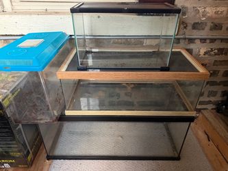 Reptile tanks/ enclosures
