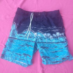 Swim Shorts