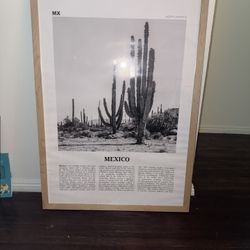 Mexico Framed Poster