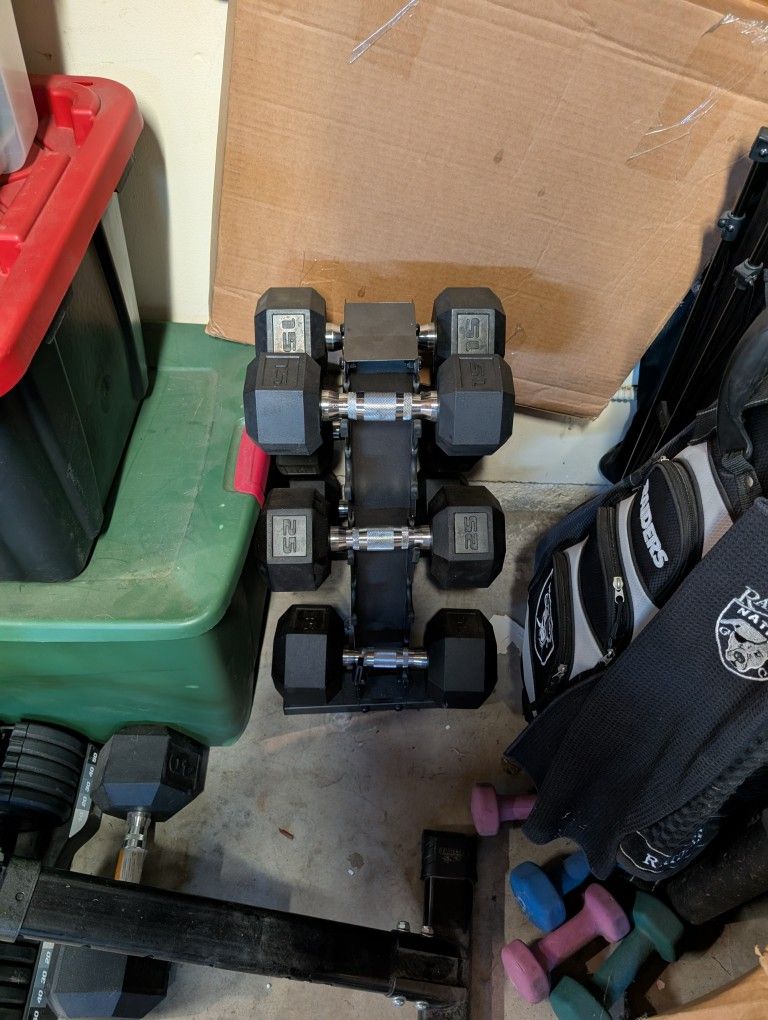 Weight Bench And Weights 