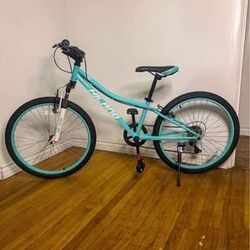 Like New Kids Bike 24”