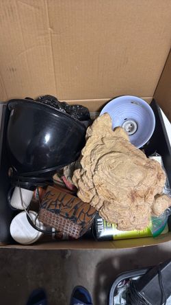 Bearded dragon items
