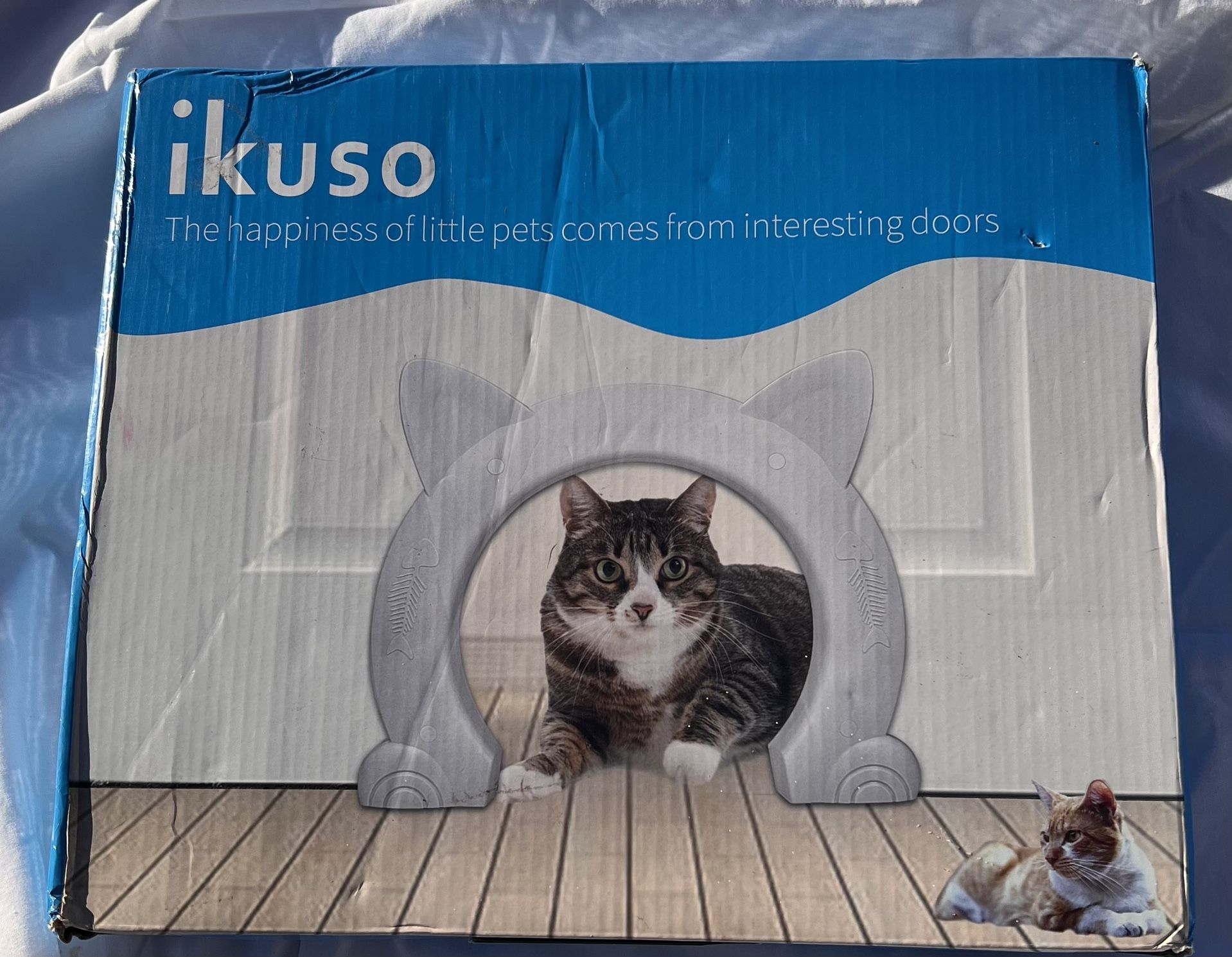 Cat Door
