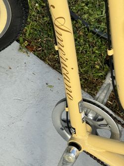 Ameracano Ladies 12 Speed Bike