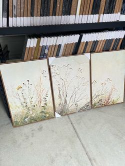 Botanical Wildflower Canvas Wall Art Set of 3