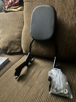 Passenger back rest