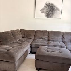 Sectional Couch 