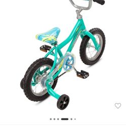 Toddler Bike
