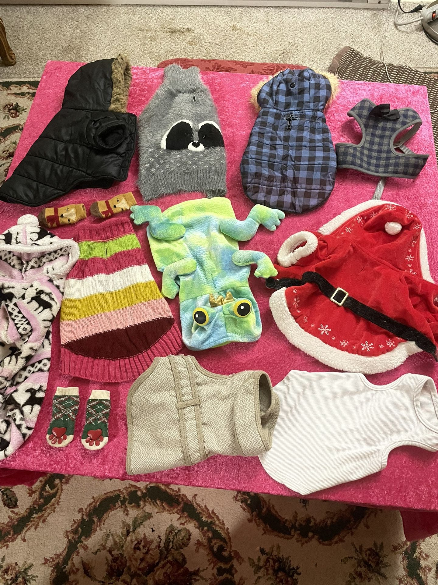Lot Of Small Dog Clothes, Harnesses, Leashes