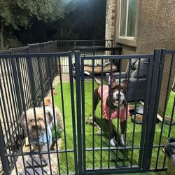 Freestanding Gate 36” Height 