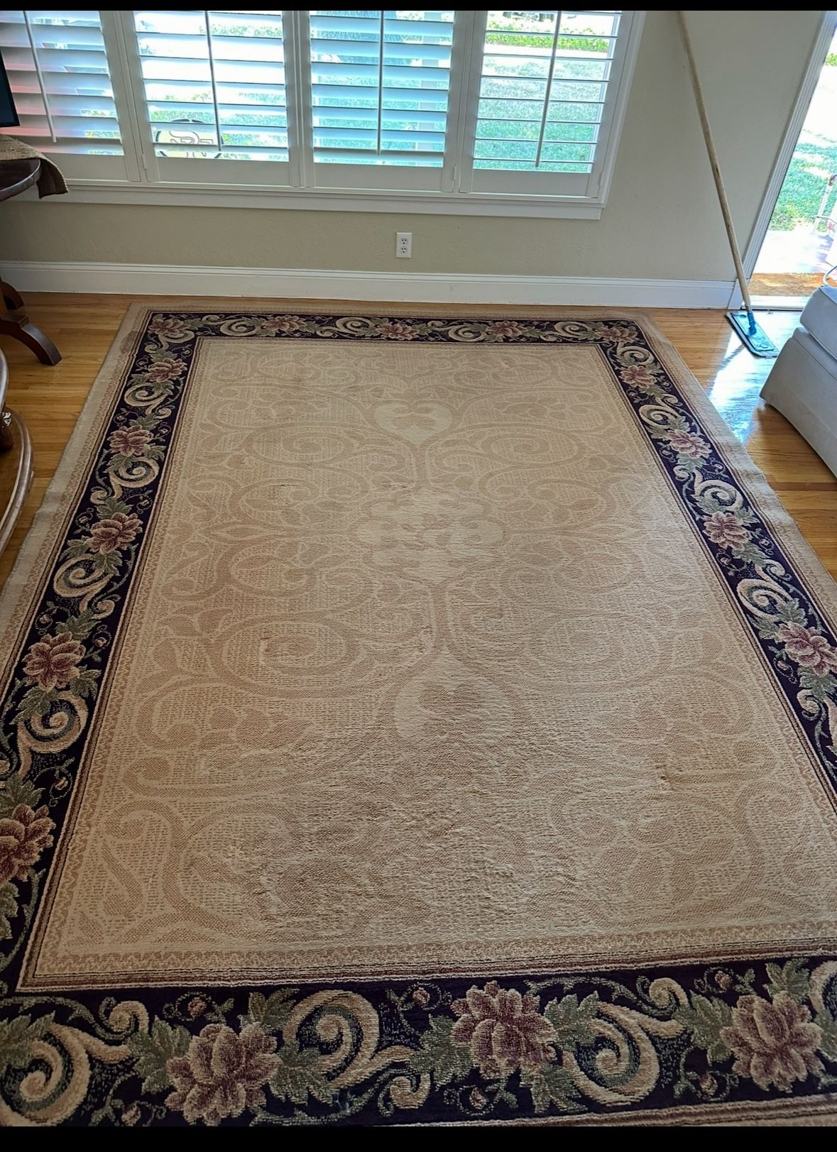 8x10 Area Rug - Free