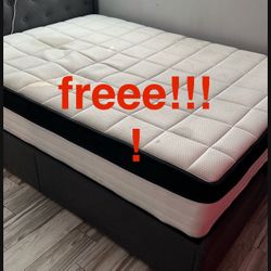 Free Full Size Mattress 