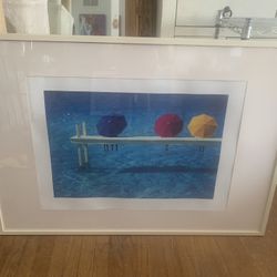 Extra Large Pool Picture 29 By 41
