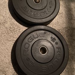 Rouge Bumper Weight Plates 45’s